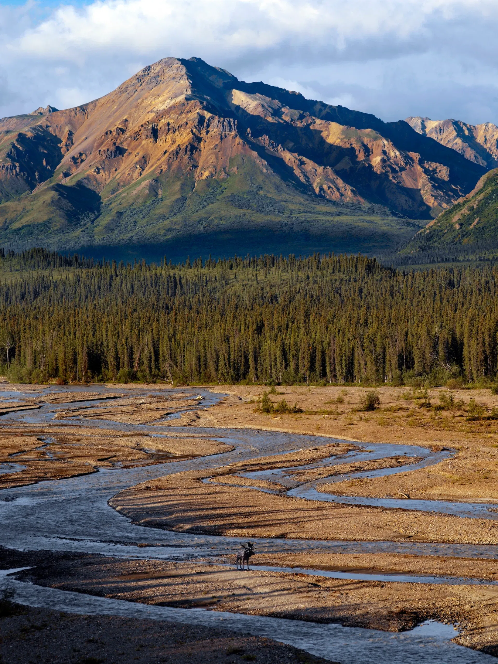 Denali National Park, Alaska — formal Alaska landscape